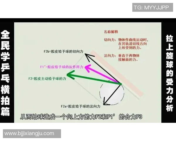 从零起步掌握乒乓球意识的全面指南与实战技巧分享