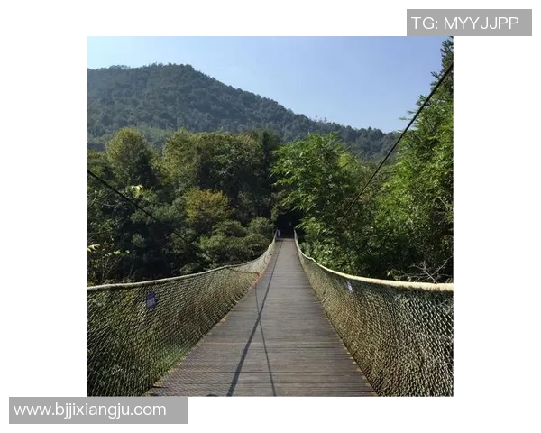 张磊网球生涯回顾与展望：从青涩少年到职业选手的心路历程