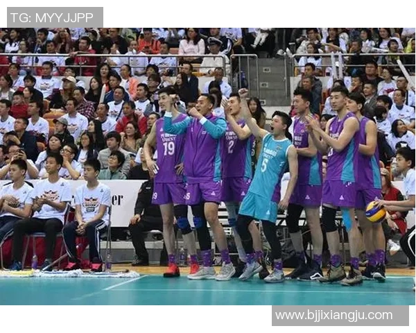 深圳排球队状态分析与未来展望聚焦排球运动发展新机遇