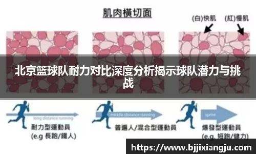 北京篮球队耐力对比深度分析揭示球队潜力与挑战