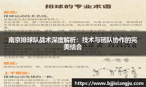 南京排球队战术深度解析：技术与团队协作的完美结合