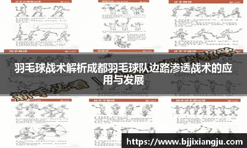 羽毛球战术解析成都羽毛球队边路渗透战术的应用与发展