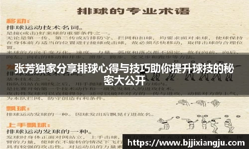 张芳独家分享排球心得与技巧助你提升球技的秘密大公开