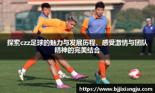 8868体育全网最权威